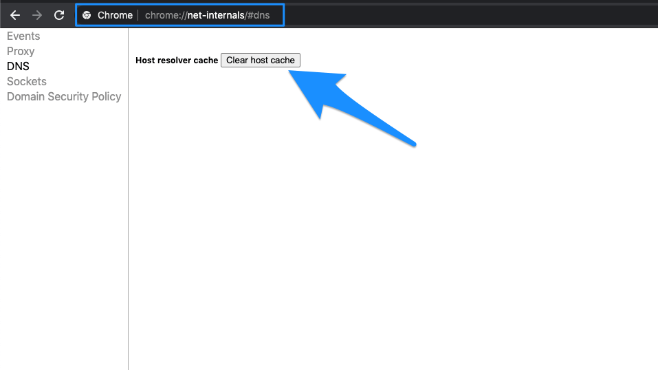 Очистить DNS хоста