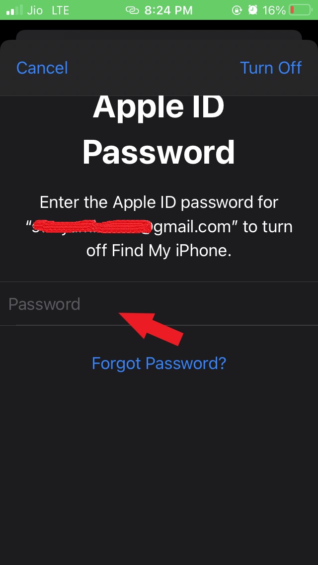 введите пароль Apple ID