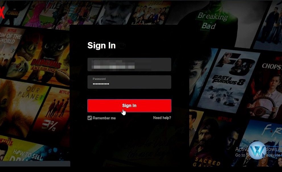 Войдите, используя идентификатор Netflix и пароль.