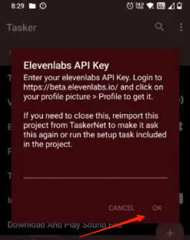 вставьте ключ API Eleven Labs в текстовую область