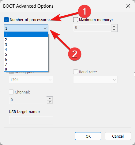 Выберите количество процессоров в окне дополнительных параметров загрузки.