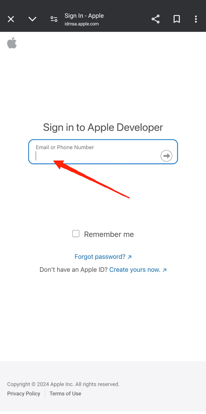 Теперь войдите в систему, используя свой Apple ID.