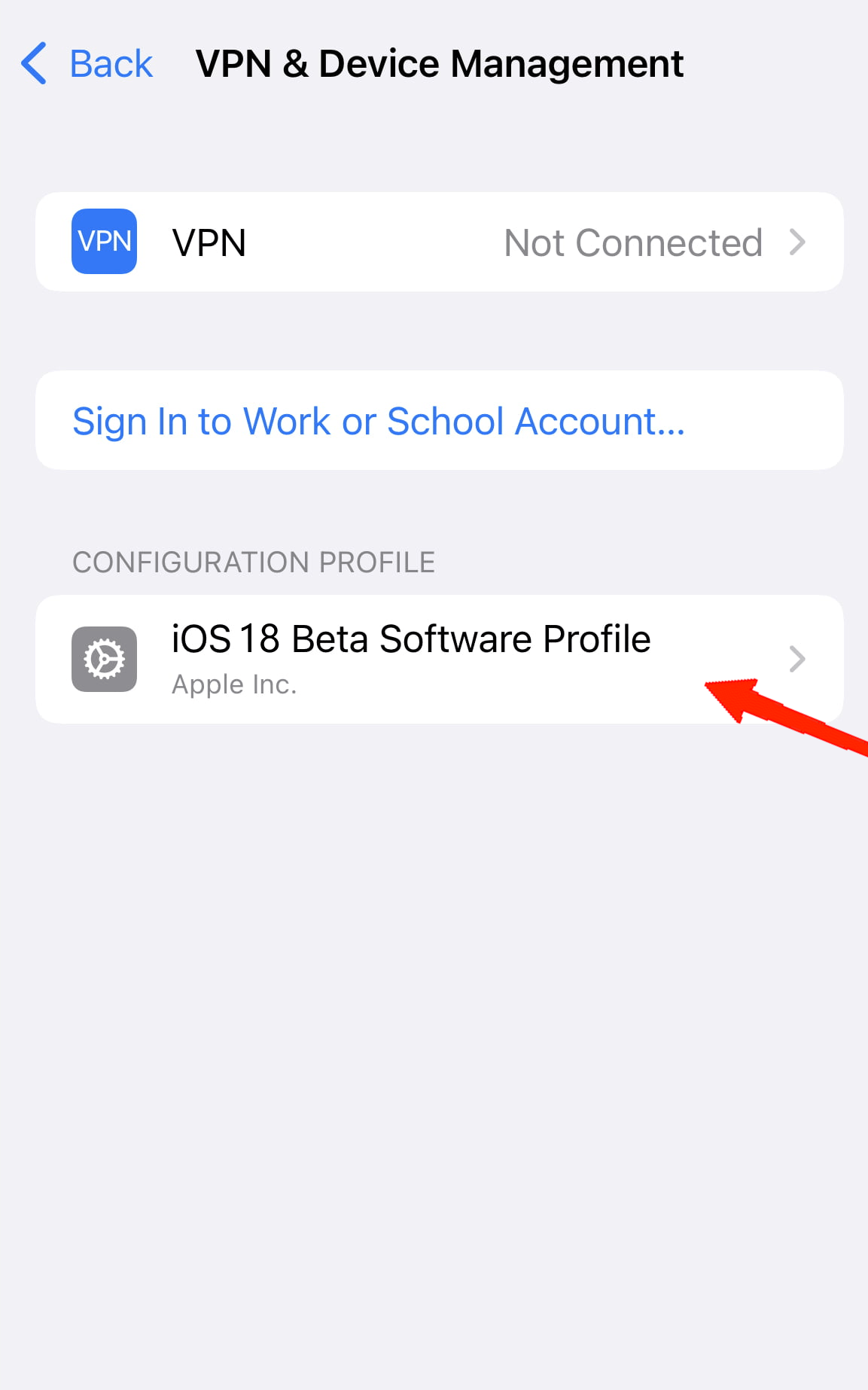 Найдите бета-профиль iOS 18 и нажмите на него.